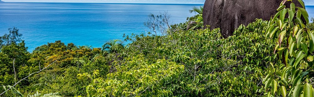 Morne Seychellois
