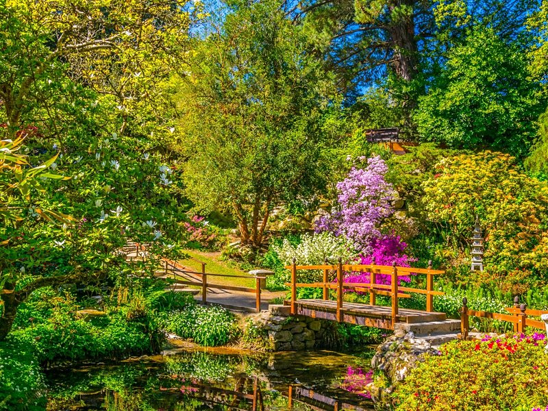 Les jardins du bout du monde de Powerscourt