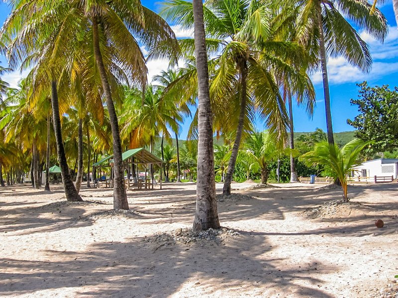 plage Anse du Souffleur, La Désirade