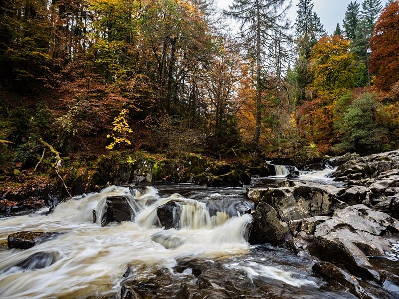 The Hermitage, Dunkeld, Perthshire