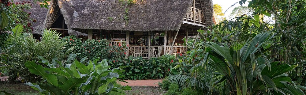 Amazonie