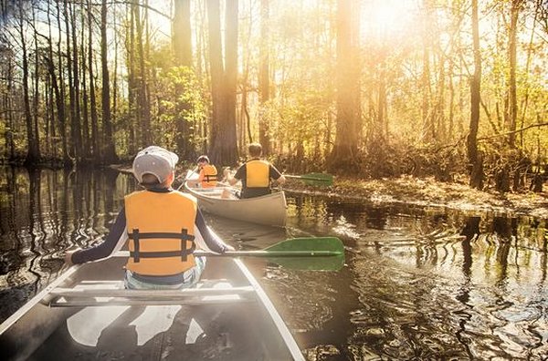 Découvrir la faune et la flore de Floride en kayak ou canoë