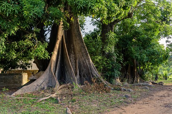 La Casamance