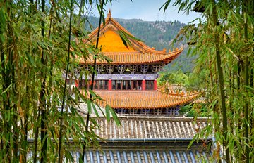 Temple des Bambous