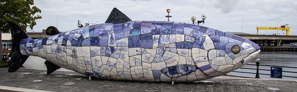 The Big Fish, le poisson bleu de la sagesse