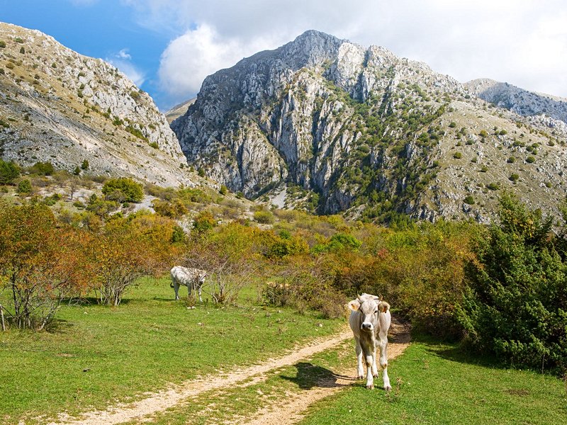 Parc naturel du Sirente Velino