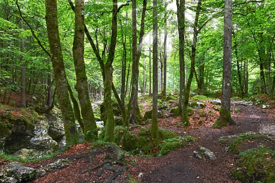 Mostnica Gorge