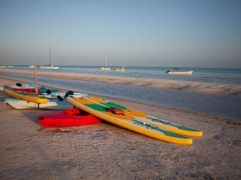 Faire du kayak dans les mangroves