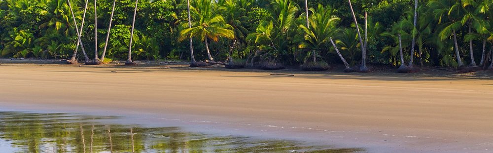 La plage d’Uvita