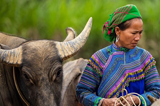 Bac Ha