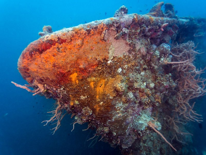 Explorer les fonds marins en plongée