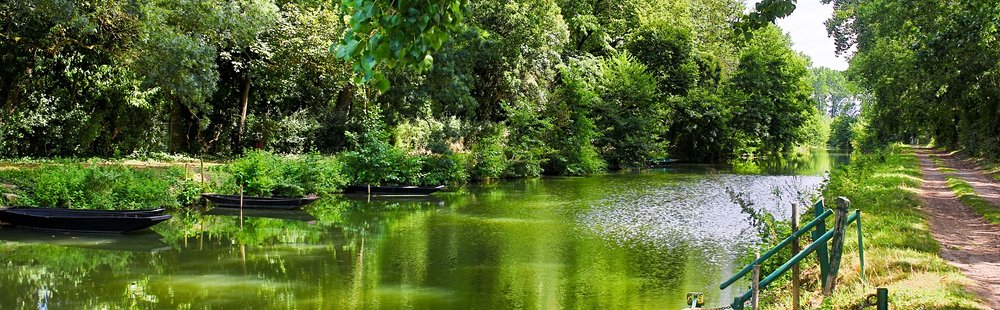 Le marais poitevin