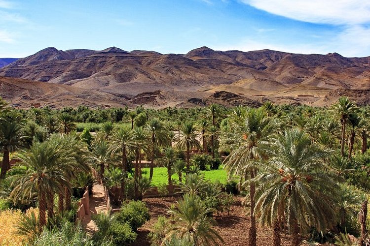 La vallée du Drâa