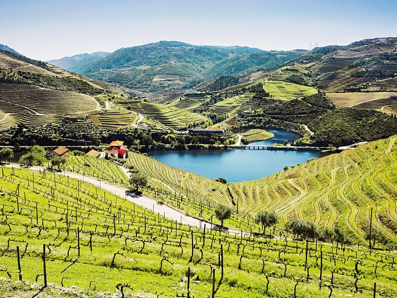 Vallée du Douro