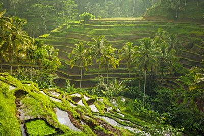 Ubud