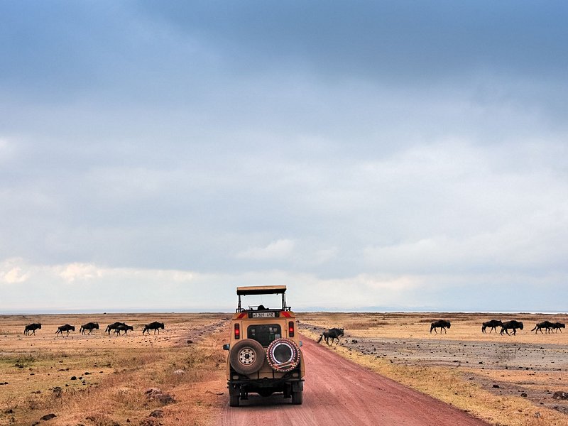 Cratère du Ngorongoro