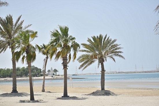 Mirfa