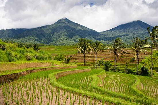 Mont Batukaru