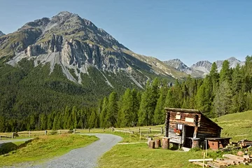 Parc national Suisse