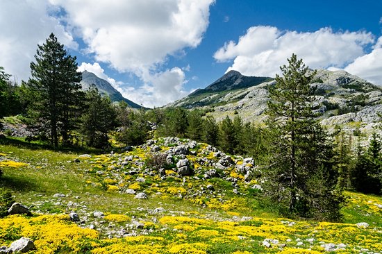 Le parc national de Lovcen