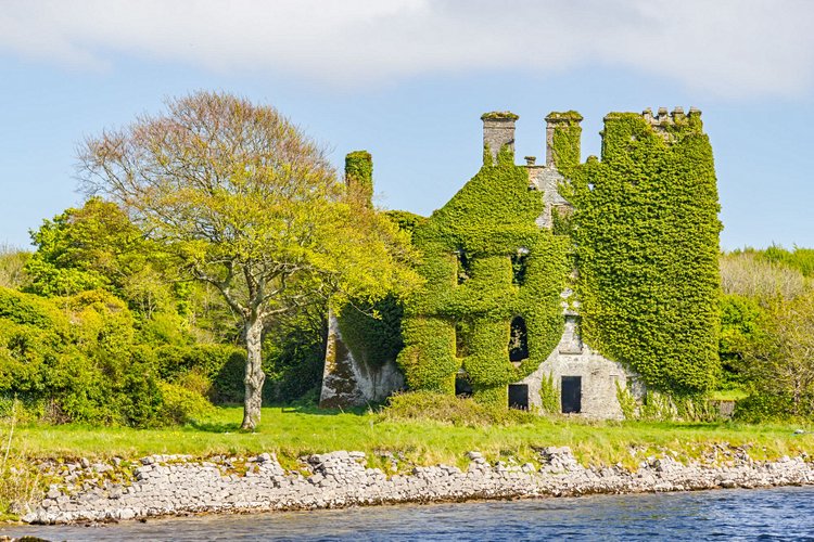 Admirez le Menlo Castle, dévoré par la verdure 3