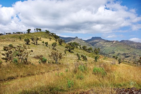 Mont Elgon
