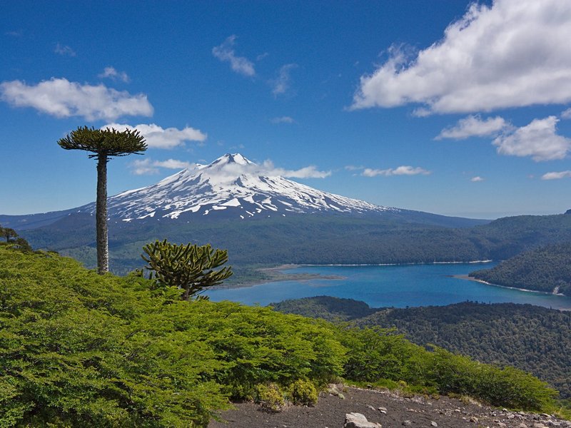 Parc national Conguillío