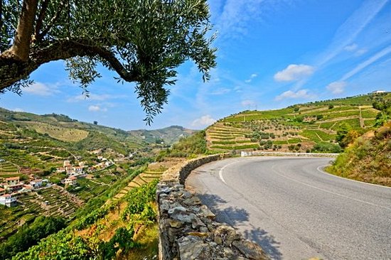 Découvrir la route des vins du Douro