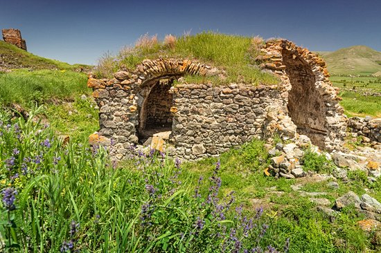 Lori Fortress