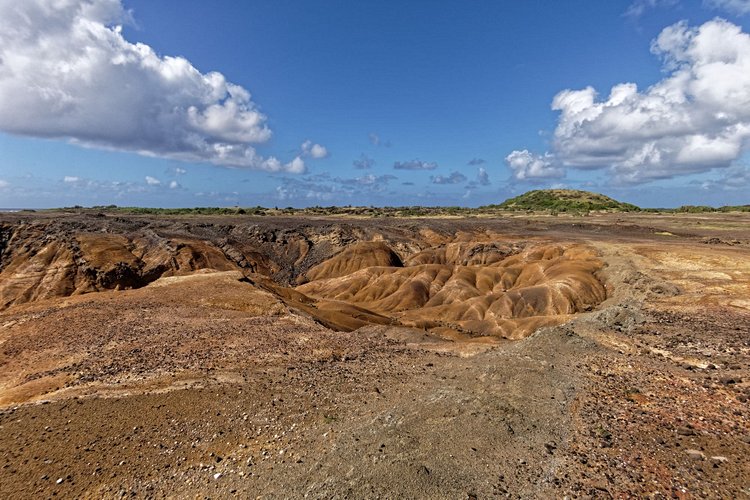 La Savane des Pétrifications 2