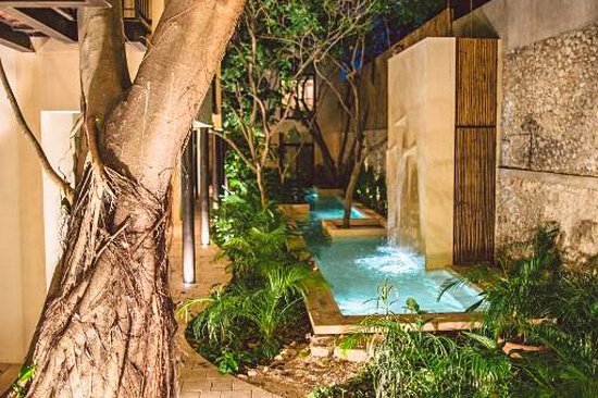 TreeHouse Boutique Hotel