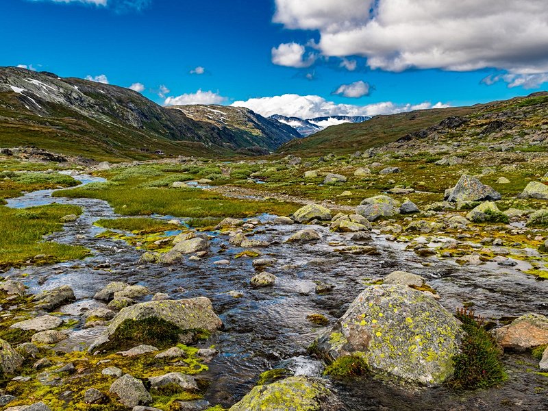 Jotunheimen