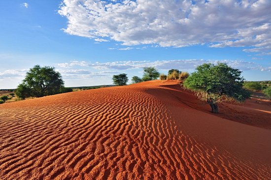 Désert du Kalahari