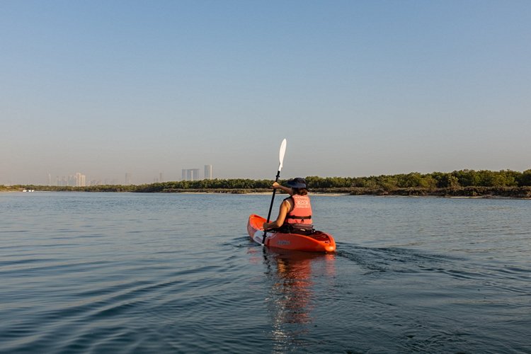 Le parc national des mangroves