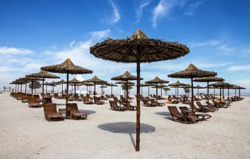Sir Bani Yas