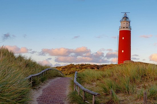 Texel