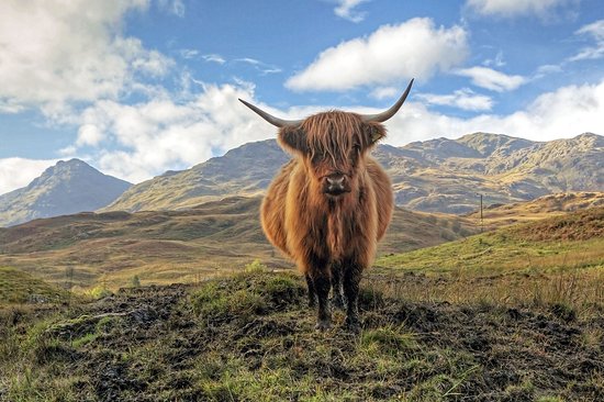 Parc national du Loch Lomond et des Trossachs