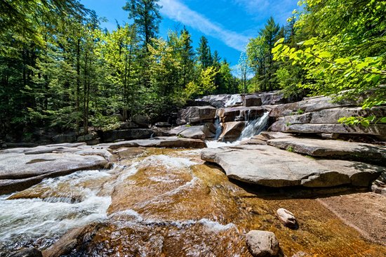 White Mountains national forest