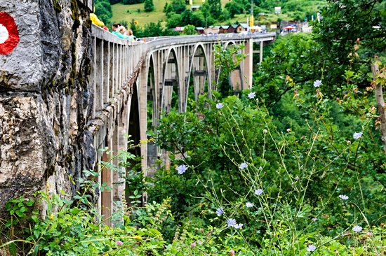 Pont de Đurđevića Tara