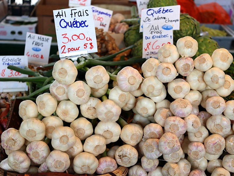 Le marché Jean-Talon