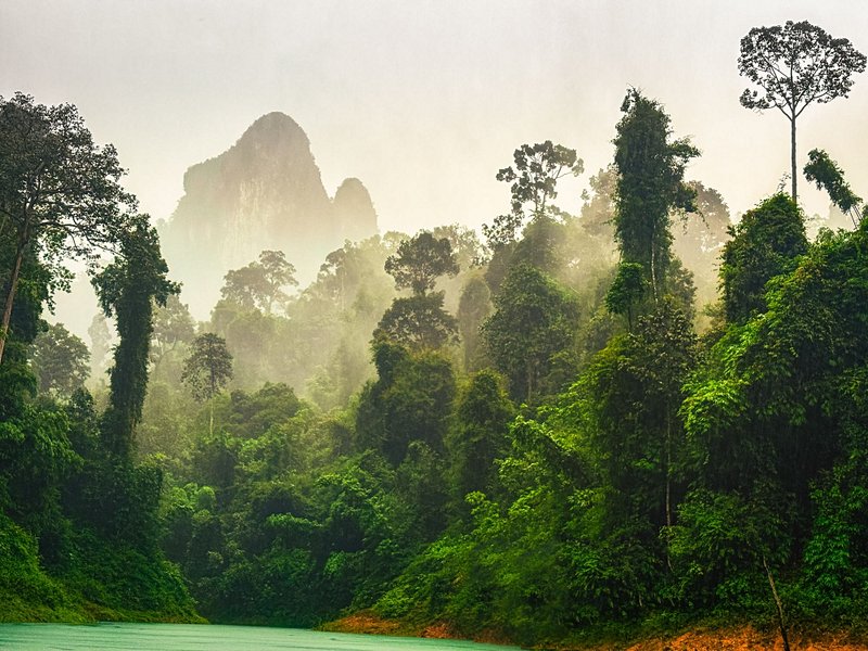 Partir en randonnée dans la forêt du parc