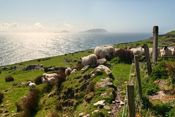 Anneau du Kerry