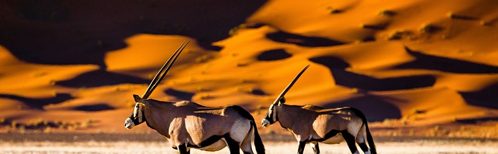 Sossusvlei