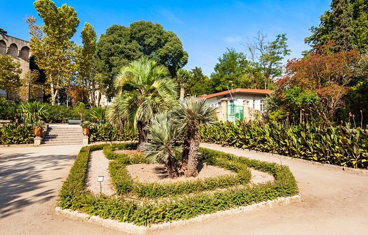 Le jardin des plantes