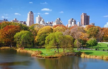 Central Park en automne 