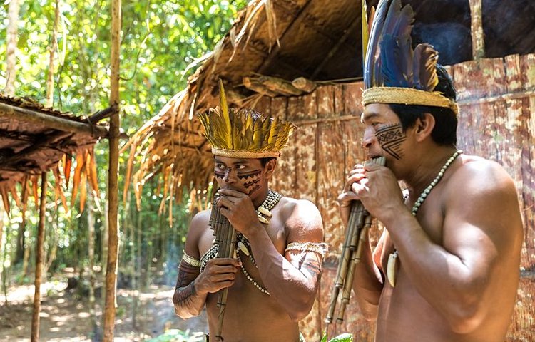 Indigènes au cœur de l'Amazonie 