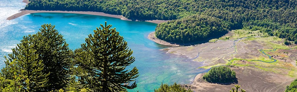 Parc national Conguillío