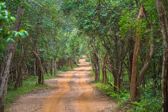 Parc national de Wilpattu