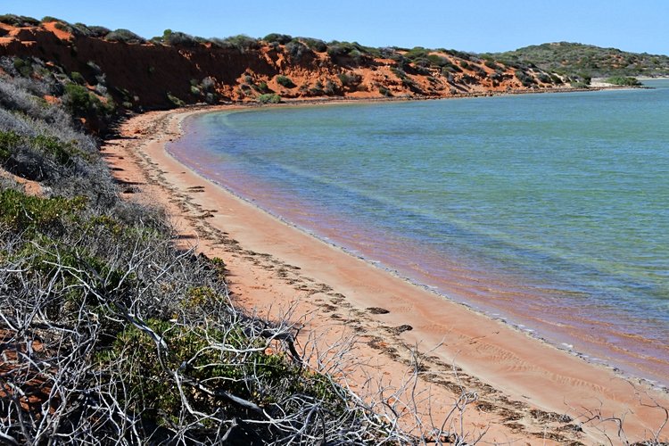 Shark Bay 3