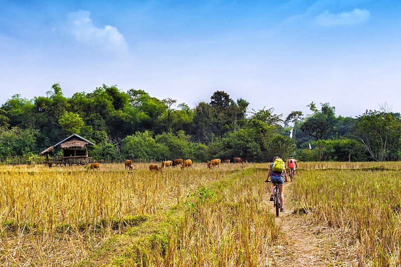 Découvrir les environs de Luang Prabang en VTT